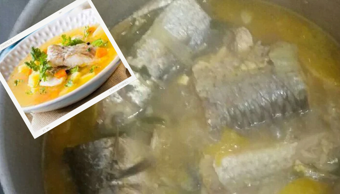 Receita de um Caldo de peixe